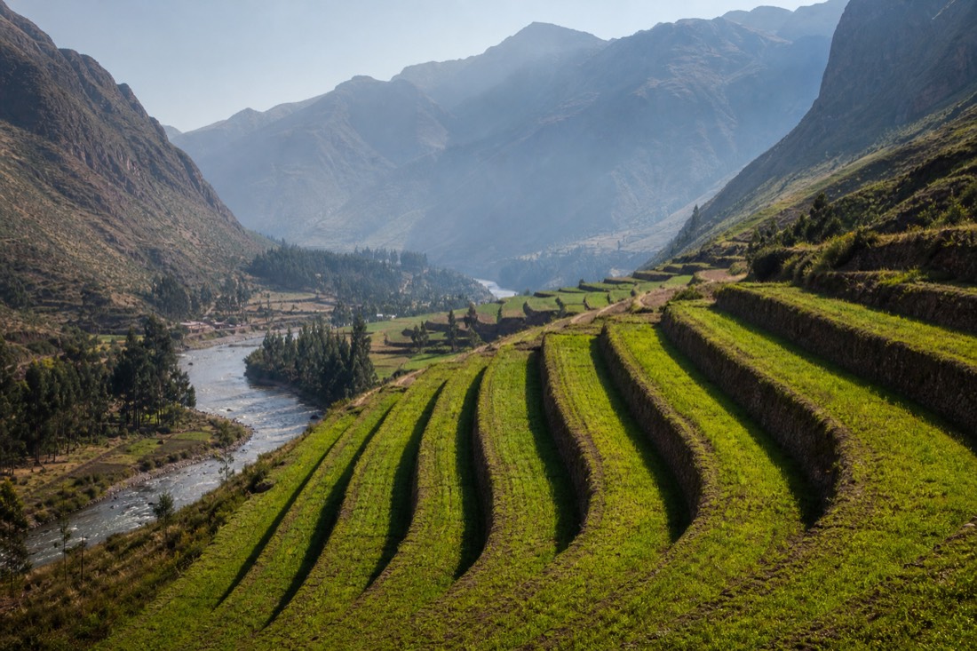 Green agricultural terraces of the Sacred Valley near Pisac under morning light, Urubamba river and mountains behind